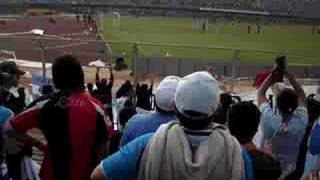 LOS PUMAS VAMOS ALBICELESTE VS LA ZORRA