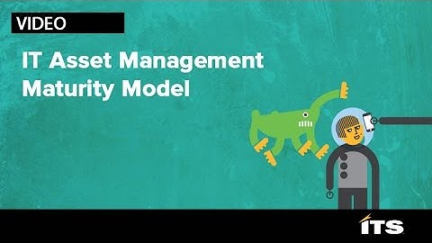 The ITS Partners ITAM Maturity Model