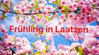 Frühling in Laatzen