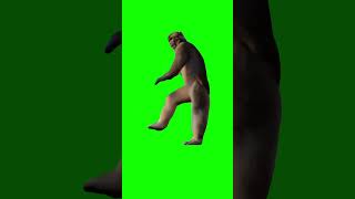 hardstyle monkey Green screen