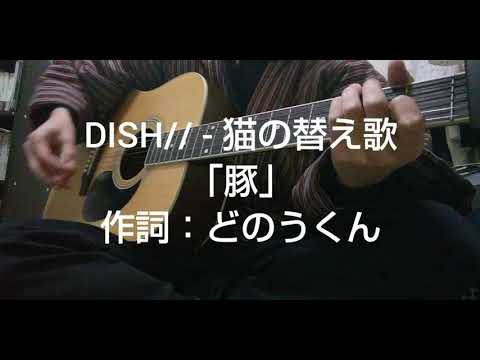 猫(DISH//)の替え歌「豚」作詞:どのうくん coverずーみん