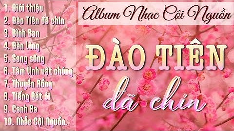 Đào Tiên đã chín - Namo Maitreya Buddha - Namo Amitabha Buhhda - Việt Nam - 1996