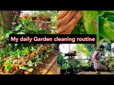 Video: Keeping The Garden Clean
