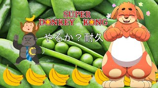 真　耐久ドンキーコング～クリアするか罰を受けるか～