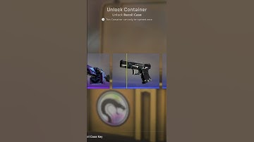 DAY 117 Opening a case everyday #csgo