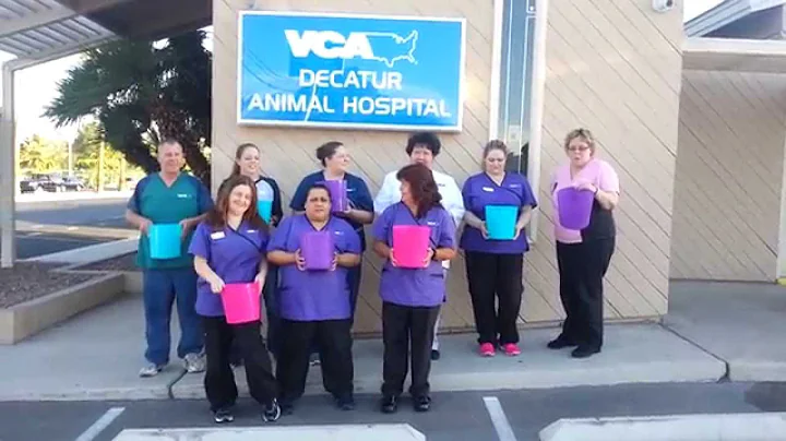 VCA Decatur Animal Hospital ALS Ice Bucket Challenge