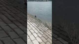 Свободата...#светланарадева #списаниеизживейбългария #българия