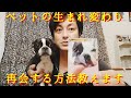 ペットロスで苦しまないで！大切なペットとまた暮らせます。それを証明する動画