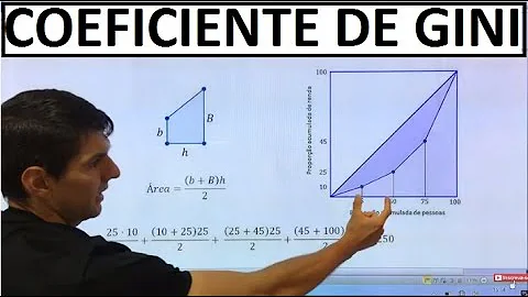 O que é o índice de Gini?