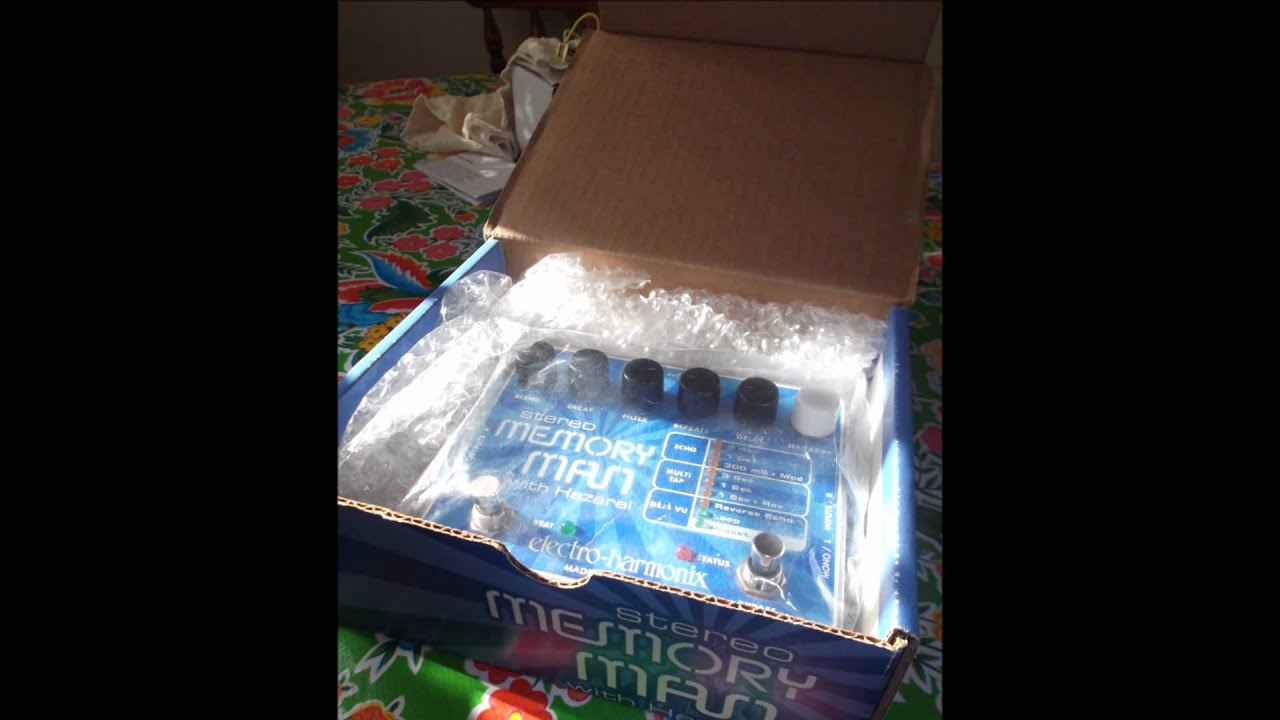 Electro Harmonix Stereo Memory Man with Hazarai Loop