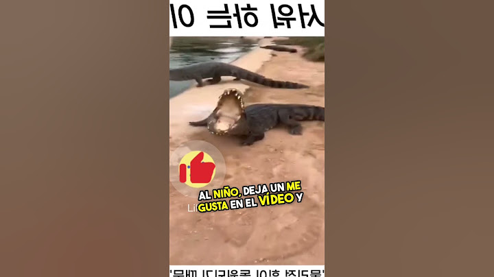 😳¿QUÉ CREES QUE LE PASARÁ? #curiosidadesanimales #short #crocodile #viralvideo