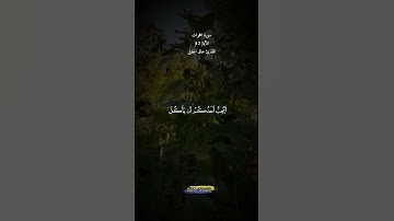 سورة الحجرات الآية |12|