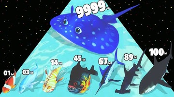 Fish Rush 3D - Level Up Fish Max Level Gameplay (Fish Evolution Run)