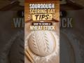 How to Score a Wheat Stalk on Sourdough 🌾🍞