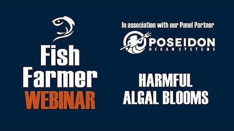 Webinar - Harmful Algal Blooms