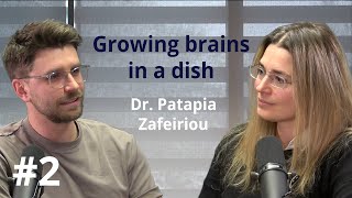 Growing brains in a dish: stem cells and organoids with Dr. Patapia Zafeiriou