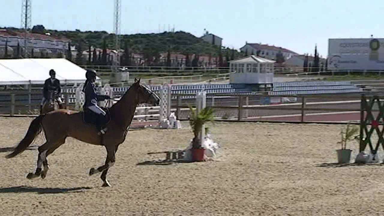 Carmen Alonso Sanz & Picasso 296 (2) 1.02.15