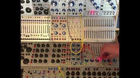 Knarly Buchla 288r