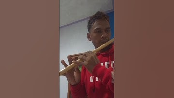 kupu kupu