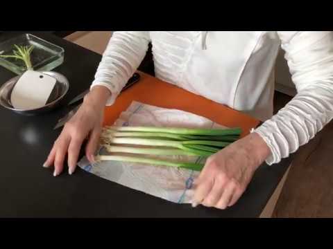 How to Freeze Green Onions (2 Easy Ways!) - Evolving Table