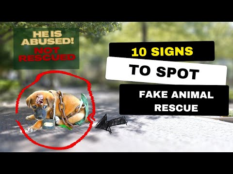 10 Signs to