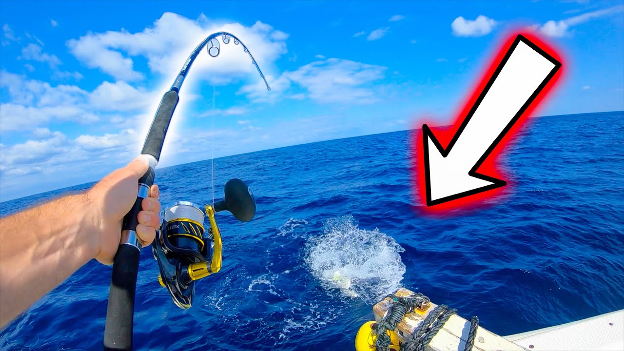 Huge Strikes in Japan! Mahi and Tuna Madness!!! YouTube