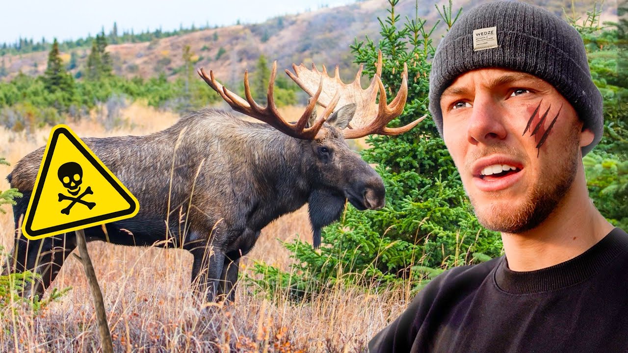 24 UUR OVERLEVEN IN ZWEEDSE WILDERNIS… - YouTube