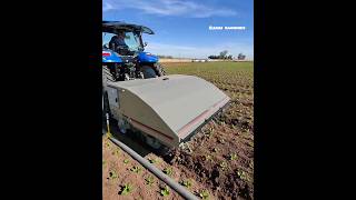 Smart Cultivator For Weeding & Cultivation || Made By Stout Industrial Technology Usa || #Shorts