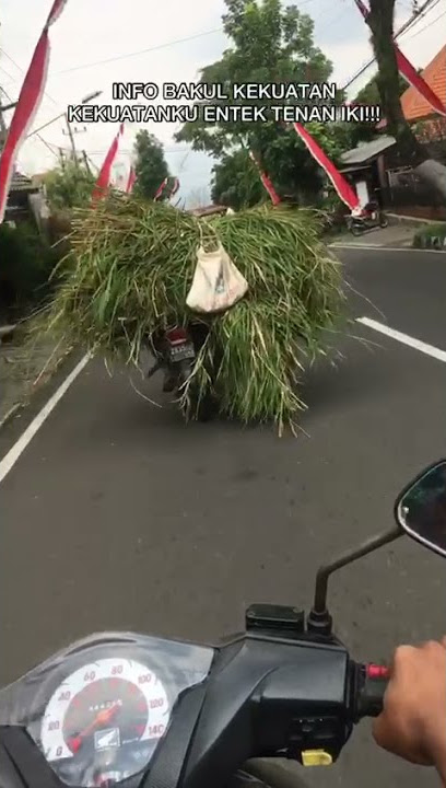 bakul kekuatan ada ga ..!!? #shorts  #storywa