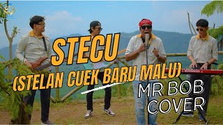 Download Lagu STECU STECU (STELAN CUEK BARU MALU) - Mr Bob Cover FT Anes MP3