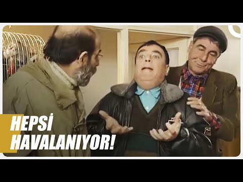 Halis'i Evlendirmenin Vakti Gelmiş Artık | Bizimkiler Özel Sahneler