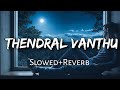 Thendral Vanthu Theendum bothu《Slowed+Reverb》| Avatharam | Nassar | S Janaki | Ilaiyaraaja