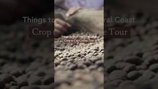 Fiji’s Hidden Coffee Gem: Crop to Cup Tour | Bula Coffee ☕