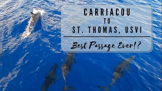 Carriacou, Grenada → St Thomas - Best Passage Ever!?! | S4 E11| Leopard Catamaran USVI by Sailing LunaSea 544 views 2 years ago 21 minutes