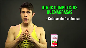 ¿Qué son los quemagrasas?