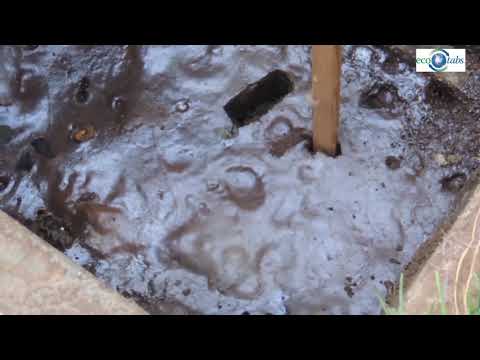Video: De ce aud apa curgând în fosa septică?