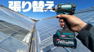 【DIY】マキタ40Vインパクトでビニールハウス張り替え作業【TD001GRDX】Greenhouse Replacement with makita's 40V impact driver