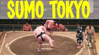 SUMO WRESTLING Tournament | Tokyo, Japan