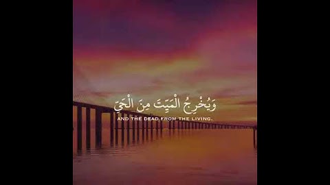 اجمل صوت 🔉 قارئ قران الكريم مؤثر يشرح الصدر وتطمئن قلوبهم2021/6