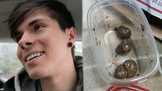 WE GOT SNAILS SHIPPED TO US AND WENT TO HOT TOPIC IN A BLIZZARD