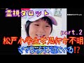 松戸女児行方不明事件の真相・Part.2さやちゃんは誰と一緒にいる?