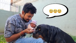 Rajveer ji kyu gye itna dur hum sabse....🥺|| snappy girls #dog #rottweiler #trending ||