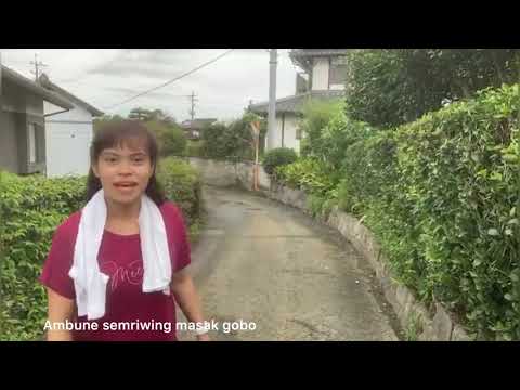 JALAN KAKI BUMIL SUASANA SORE HARI DI JEPANG LIHAT SAPI SAMPAI NEMU KOL SAWAH HITAM (PENGEN AMBIL )