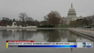Michigan Democratic leaders worried about U.S. Senate race