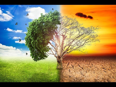 Видео: Какви растения дишат
