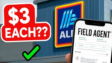 I Did 2 Field Agent Gigs at ALDI – Was It Worth It