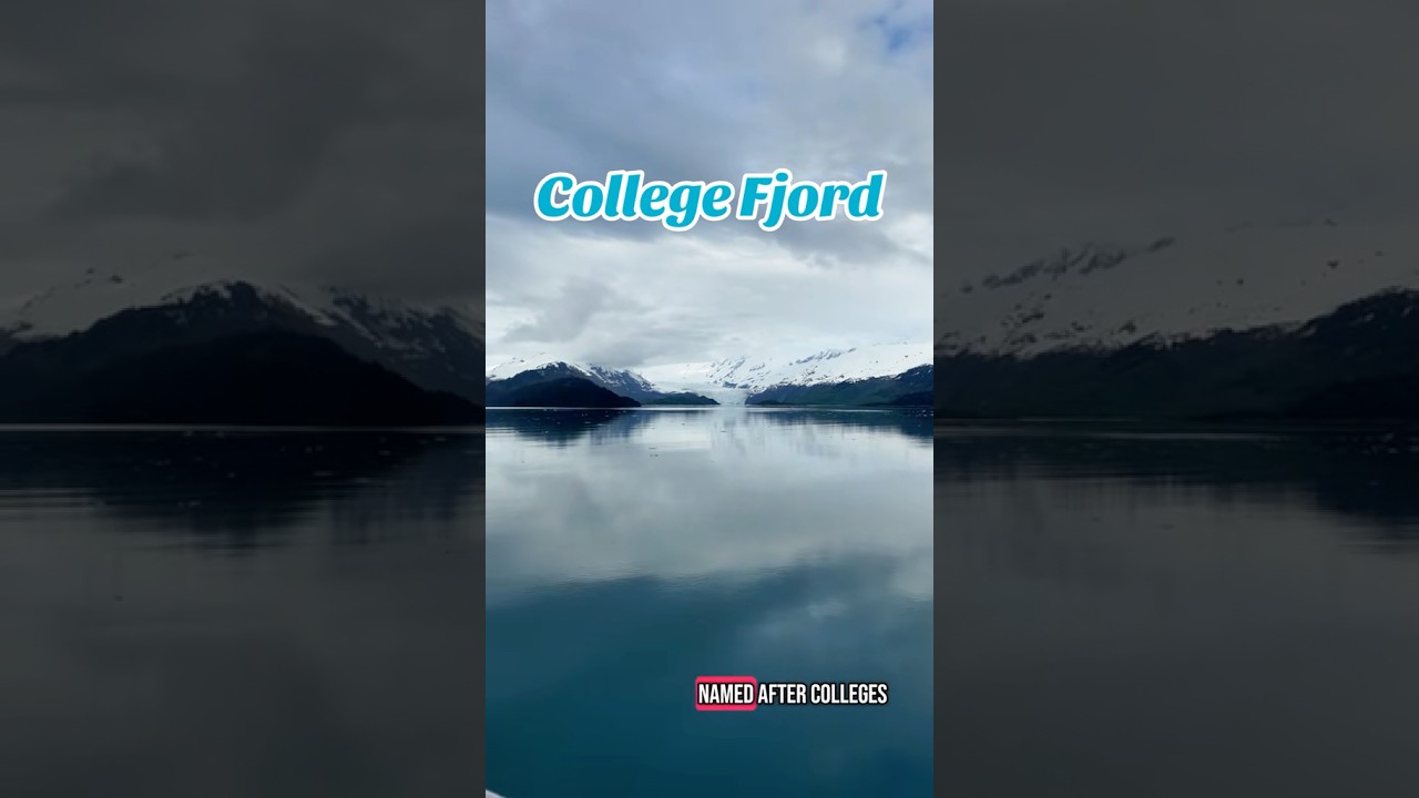 Alaska Scenic Cruising in College Fjord🚢❄️