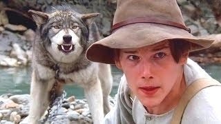 شاب يجد ذئب صغير فيقرر يربيه ، ولما الذئب يكبر يحمي الشاب ويجلعه من اثرياء المدينة | White Fang