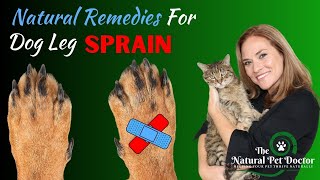 Natural Remedies for Dog Leg Sprains | Natural Pain Relief