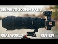 Sigma 70-200mm f/2.8 DG OS HSM Sport Lens | REAL WORLD REVIEW